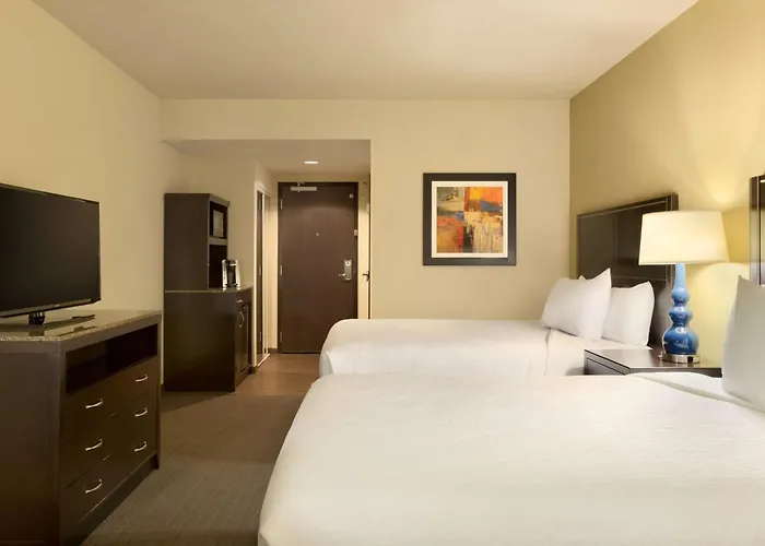 Hilton Garden Inn Houston Nw America Plaza